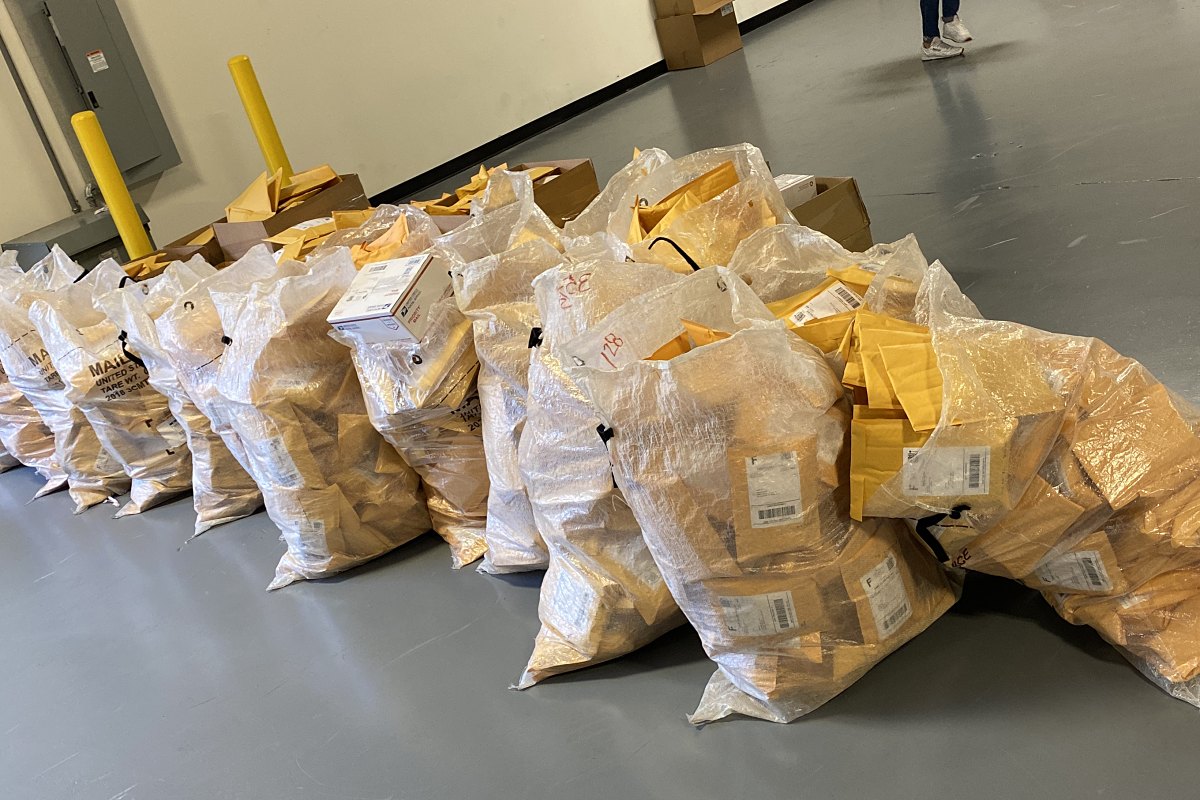 A row of clear courier sacks filled with packed mailers, lined up at the warehouse dock